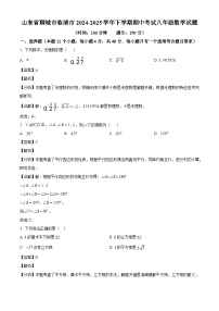 山东省聊城市临清市2024-2025学年下学期期中考试八年级 数学试题（含解析）