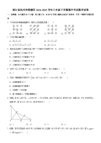 浙江省杭州市钱塘区2024-2025学年八年级下学期期中考试 数学试卷（含解析）