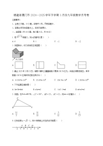 福建省厦门市2024--2025学年下学期3月份九年级数学月考卷（含答案）