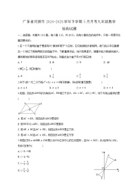 广东省河源市2024-2025学年下学期3月月考九年级数学检测试题（含答案）