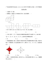 广东省深圳市宝安区2024-2025学年下学期九年级3月月考数学检测试卷（含答案）
