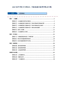 2025年中考数学压轴题型模型方与技巧(通用版)专题09函数选填压轴常考热点问题(原卷版+解析)特训
