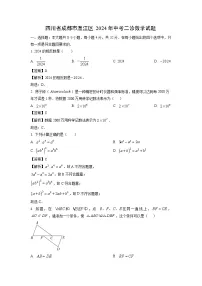 四川省成都市温江区2024年中考二诊数学试卷（解析版）