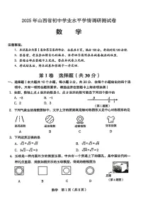 山西省2025年初中学业水平学情调研测试卷数学(含答案)