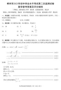 郴州市2025年初中学业水平考试第二次监测试卷数学试卷及参考答案