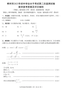 郴州市2025年初中学业水平考试第二次监测试卷数学试卷及参考答案