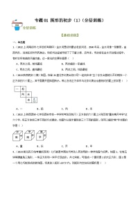 2025年中考数学总复习 专题01 图形的初步（1）（分层训练）(原卷版+解析版）