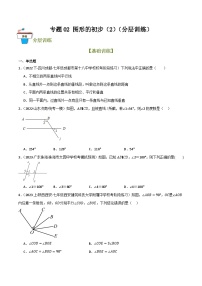 2025年中考数学总复习 专题02 图形的初步（2）（分层训练）(原卷版+解析版）