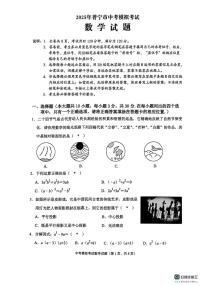2025年广东省揭阳市普宁市中考一模数学试题（中考模拟）