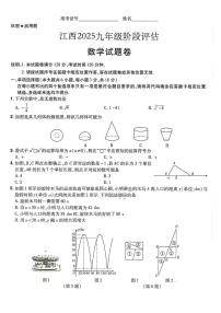 2025年江西省九年级阶段评估数学试卷（中考模拟）