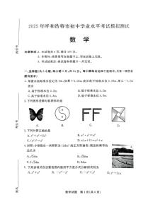 2025年内蒙古自治区呼和浩特市中考二模数学试题（中考模拟）