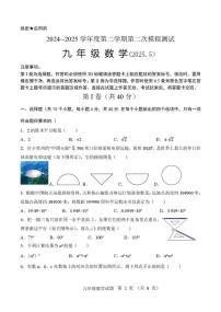 2025年山东省济南市南山区九年级二模数学试题（中考模拟）