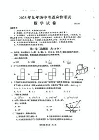 2025年四川省眉山市仁寿县中考一模数学试题（中考模拟）