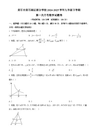 湖北省黄石市黄石港区部分学校2024-2025学年九年级下学期第一次月考数学试题卷（原卷版+解析版）