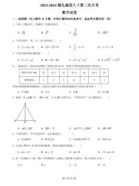【全套精品专题】学校复习专题精讲人教版试卷练习2023-2024雅礼八下第三次月考数学(试卷带解析）