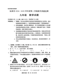 2025年广东省汕尾市九年级数学中考二模试卷+答案