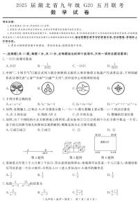 2025年湖北省九年级G20九年级下学期五月联考数学试卷+答案
