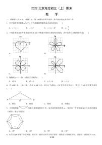 2022北京海淀初三（上）期末数学试卷（含答案）