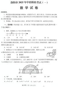2025年河南省洛阳市中考一模数学试题
