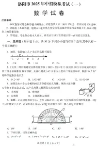 2025年河南省洛阳市中考一模数学试题