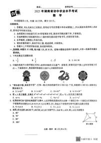 2025《万唯中考•湖南黑白卷》数学白卷