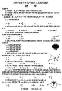 2025年河南省焦作市中考二模数学试卷和参考答案