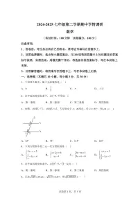 安徽省淮南市田家庵区七年级下学期4月期中考试数学检测试题（含答案）