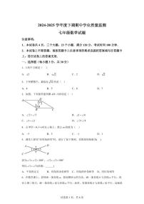 河南省信阳市息县部分学校七年级下学期期中监测数学检测试卷（含答案）