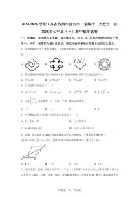 江苏省苏州市昆山市、常熟市、太仓市、张家港市七年级下学期期中考试数学检测试卷（含答案）