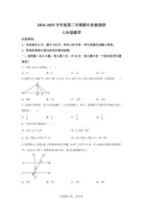 陕西省渭南市临渭区七年级下学期期中质量调研数学检测试卷（含答案）