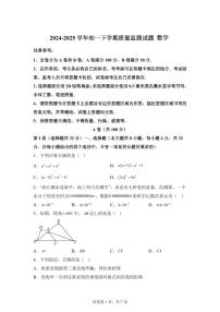 四川省成都市七年级下学期期中数学检测试题（含答案）