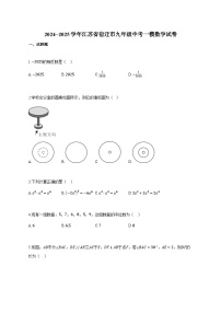 2024-2025学年江苏省宿迁市九年级中考一模数学试卷（附解析）