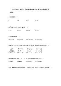 2024-2025学年江苏省无锡市新吴区中考一模数学卷（附解析）
