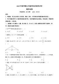 江苏省泰州市兴化市2024-2025学年九年级下学期3月月考数学试题（原卷版+解析版）