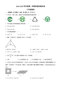 江西省赣州市南康区2024-2025学年八年级上学期期末考试数学试题（原卷版+解析版）