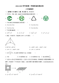 江西省赣州市南康区2024-2025学年八年级上学期期末考试数学试题（原卷版+解析版）