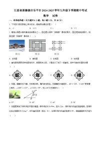 江西省景德镇市乐平市2024-2025学年九年级下学期4月期中数学试题（原卷版+解析版）