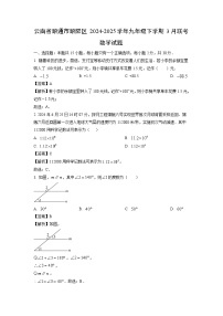 云南省昭通市昭阳区2024-2025学年九年级下学期3月联考数学试题（解析版）