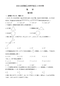 北京市北京理工大学附属中学2024-2025学年第二学期九年级数学3月月考考试试卷