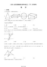 北京市首都师大附属中学2024-2025学年第二学期九年级数学开学考试试卷