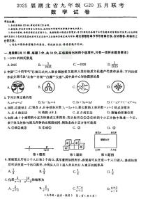 2025届湖北省九年级G20五月联考数学试卷（附参考答案）