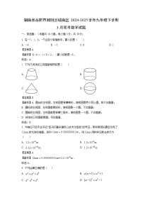 湖南省岳阳市湘阴县城南区2024-2025学年九年级下学期3月联考数学试题（解析版）