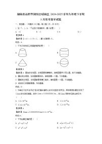湖南省岳阳市湘阴县城南区2024-2025学年九年级下学期3月联考数学试题（解析版）