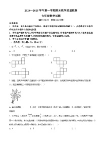 山东省德州市禹城市2024-2025学年七年级上学期期末考试数学试题（原卷版+解析版）