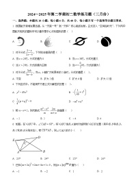 山东省济南外国语学校2024-2025学年八年级下学期3月月考数学试题　（原卷版+解析版）