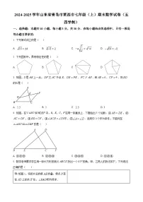 山东省青岛市莱西市2024-2025学年七年级上学期期末考试数学试卷（五四制）（原卷版+解析版）