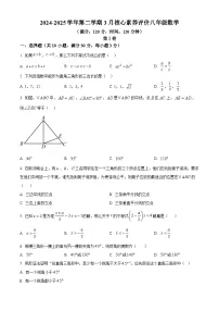 山东省枣庄市山亭区2024-2025学年八年级下学期3月月考数学试题（原卷版+解析版）