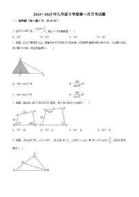 陕西省商洛市商南县丹南三校联考2024-2025学年九年级下学期3月月考数学试题（原卷版+解析版）
