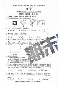 2024年北师版数学八年级下册济南市平阴县期末测试模拟题（无答案）
