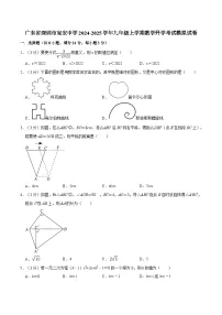 广东省深圳市宝安中学2024-2025学年九年级上学期数学开学考试模拟试卷